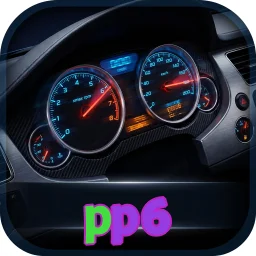 pp6